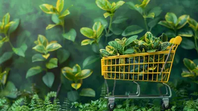 Sustainability in E-Commerce: Trends and Opportunities