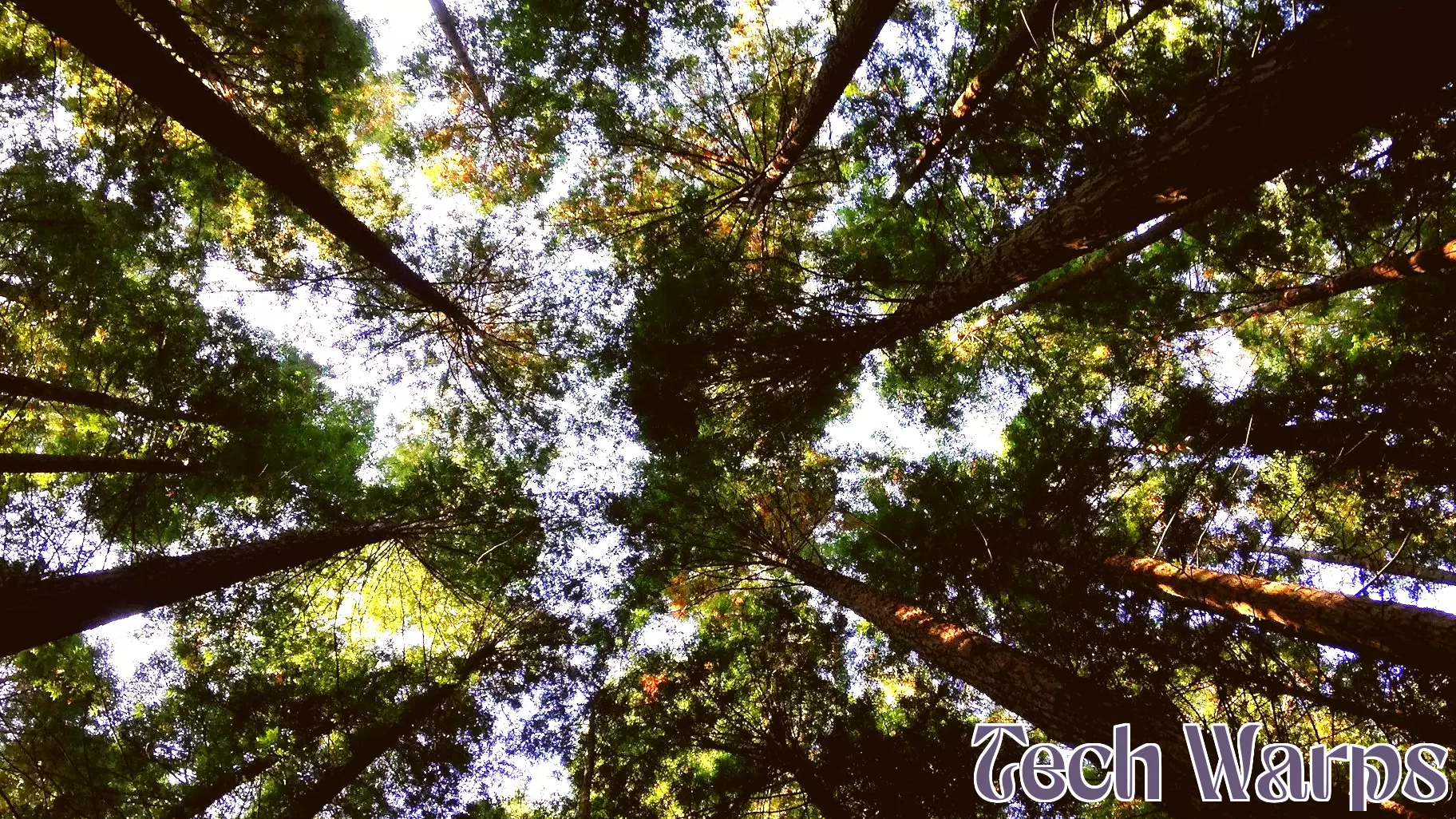 Assessing the Environmental Footprint of Blockchain Technology
