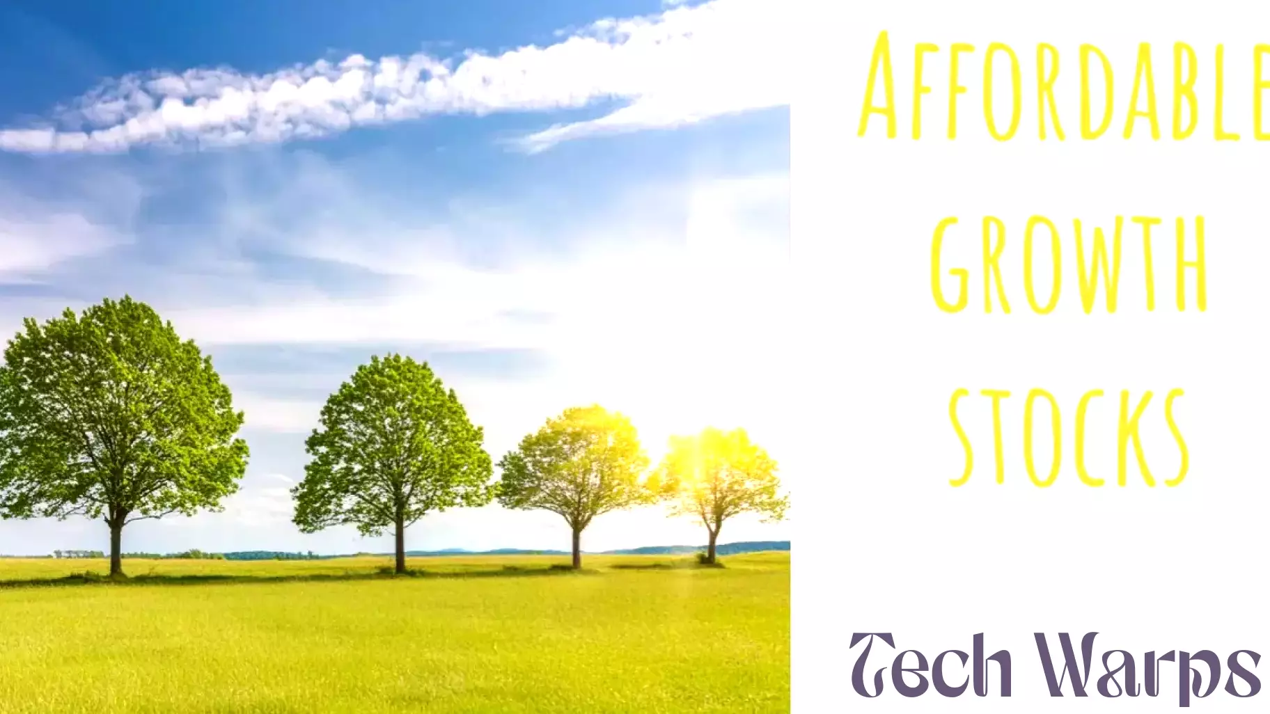 GigaCloud Technology: A Promising Growth Stock at a Fair Price