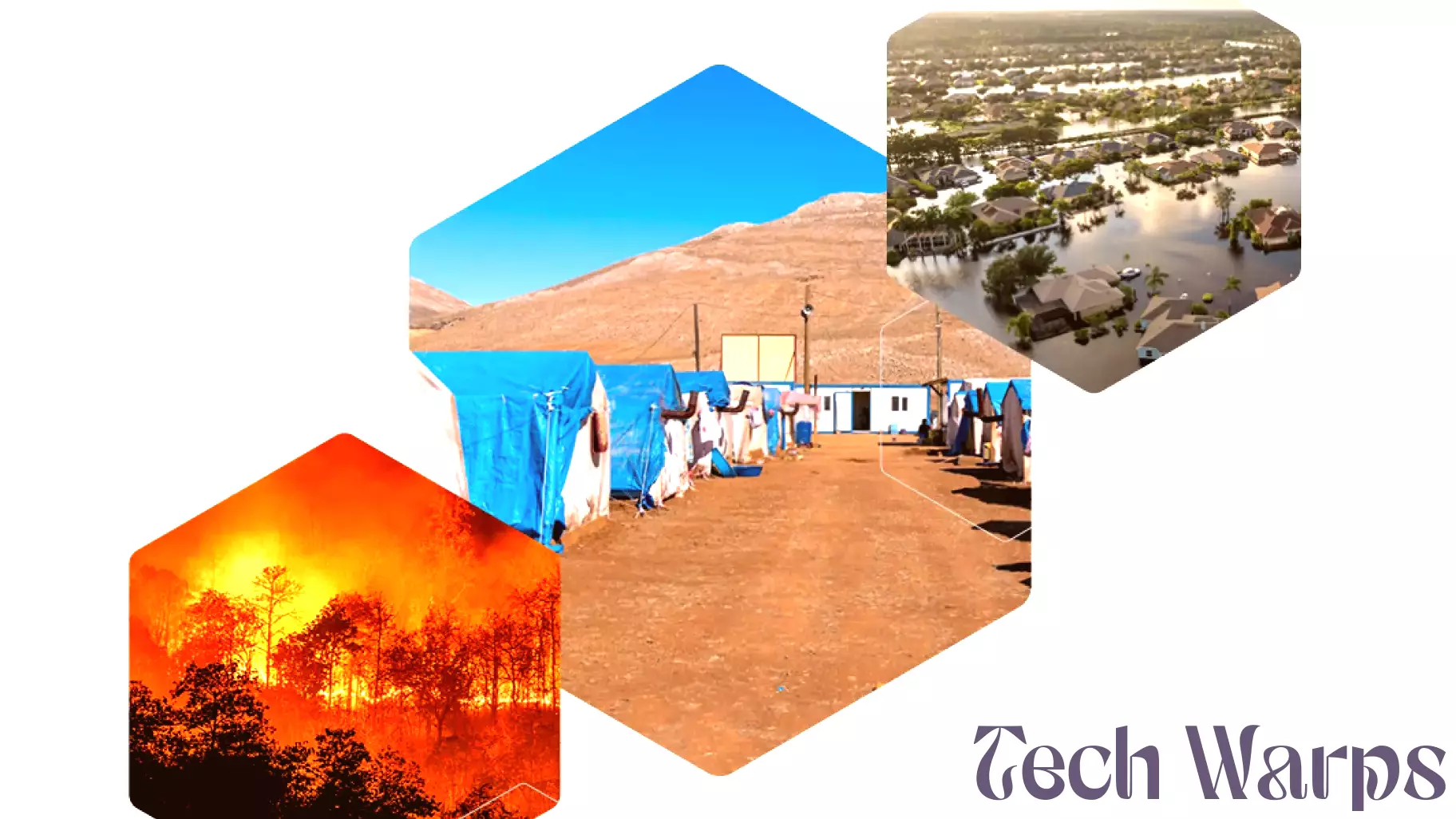 Innovative Solutions for Tackling Climate Disasters