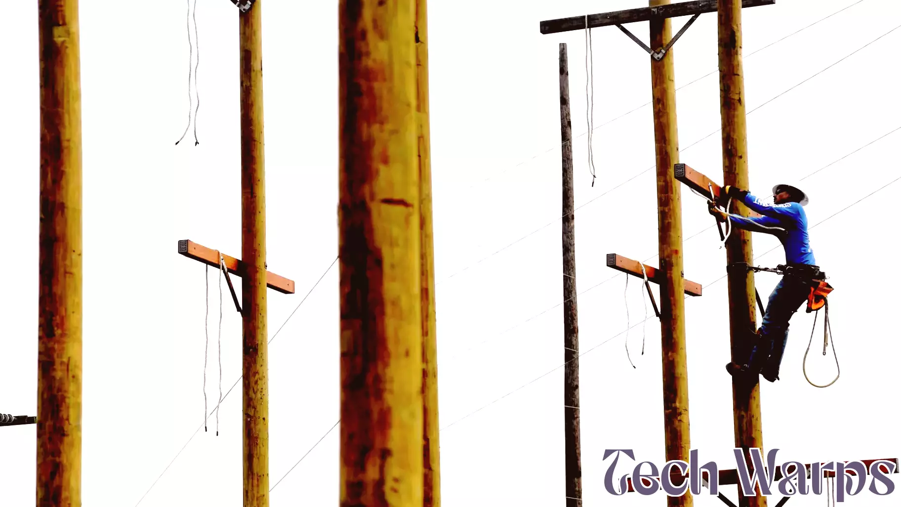 LIT Students Shine at Lineman Rodeo Event
