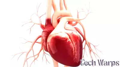 Breakthrough MRI Technology Enhances Aortic Stenosis Diagnosis