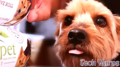 Is Align Technology’s (ALGN) Five-Year Innovator Streak Quietly Redefining Its Competitive Moat?