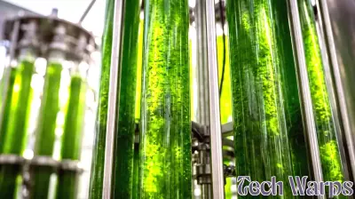 Spreading sunlight boosts algae productivity sixfold